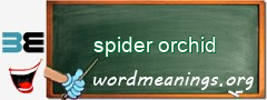 WordMeaning blackboard for spider orchid